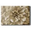«Neutral Wall Flower III», toile tendue avec châssis-983866085