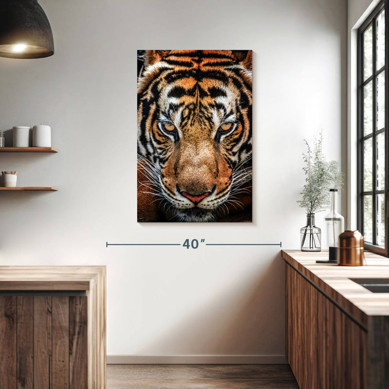 Brampt Siberian Tiger, 39" H x 26" W