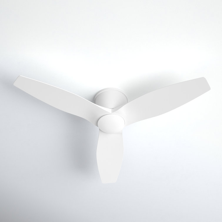Aisling Ceiling Fan with LED Lights