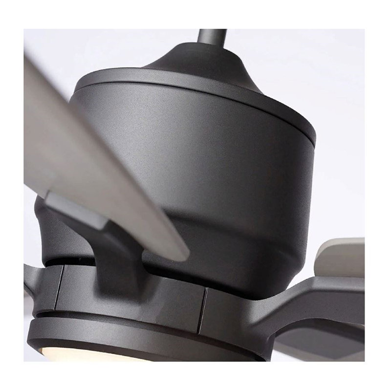 Ceiling Fan with LED Lights, 72", Graphite, Black