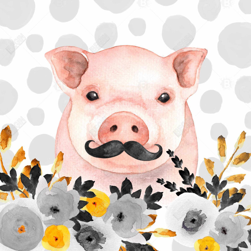 " Little Disguised Pig "