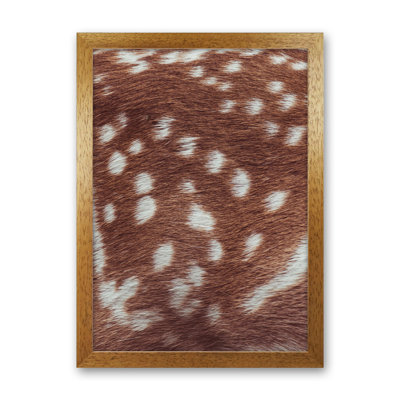 Deer Skin 1 Piece Wall Art