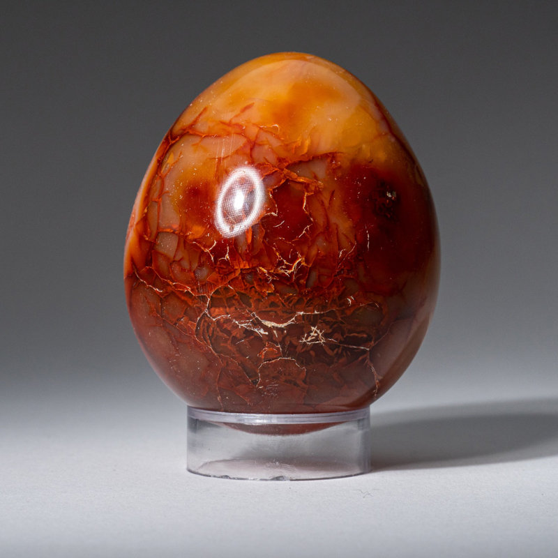 Genuine Carnelian Agate (Medium) Egg from Madagascar