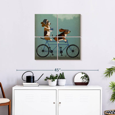 Brampt Basset Hound Tandem