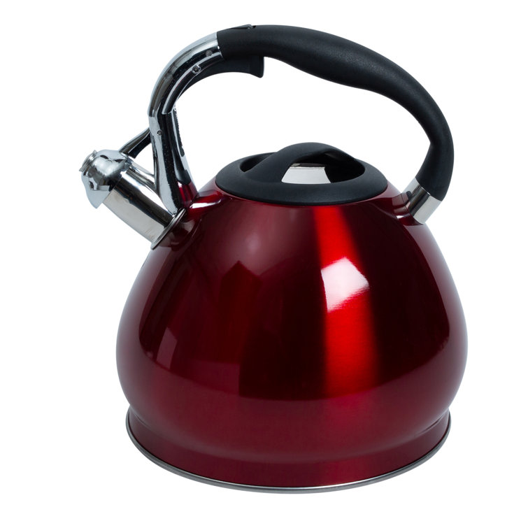 Stainless Steel Whistling Water Kettle, Whistling Tea Pot, Works for All  Stovetops, Induction, Gas - China Whistling Kettle and Stainless Steel Tea  Kettle price