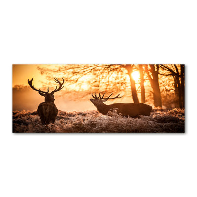 Deer East - No Frame Print on Canvas