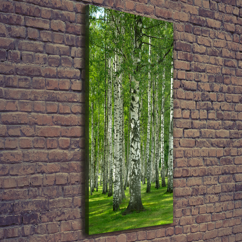 Birch Forest - Wrapped Canvas Print