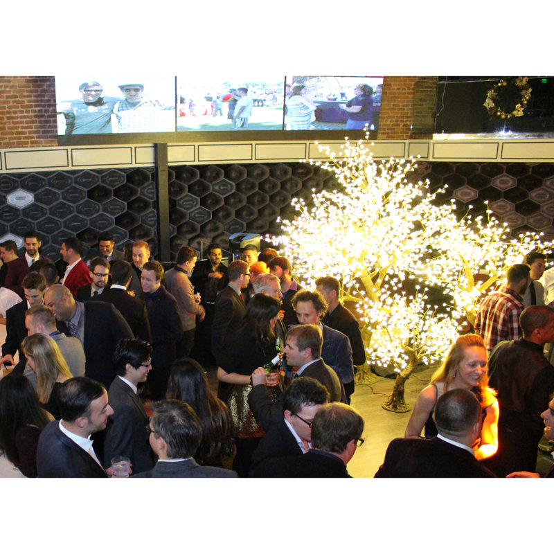58'' LED Lighted Trees & Branches