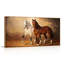 Cheval, reproduction d'art sur toile encadrée, ensemble de 1,48 x 24 po-1904314596