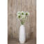 Arrangement-111171323