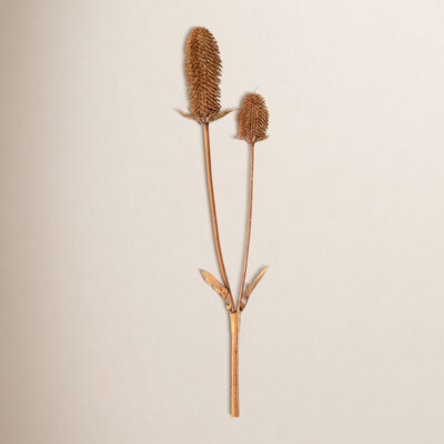 Rich Sienna Thistle Sprays