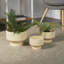 Destina 3-Piece Ceramic Pot Planter Set-1847870746