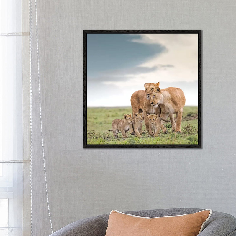 Colour Lioness & Cubs by Klaus Tiedge - Print on Canvas, 66.04 cm H x 66.04 cm W, Black Framed Canvas