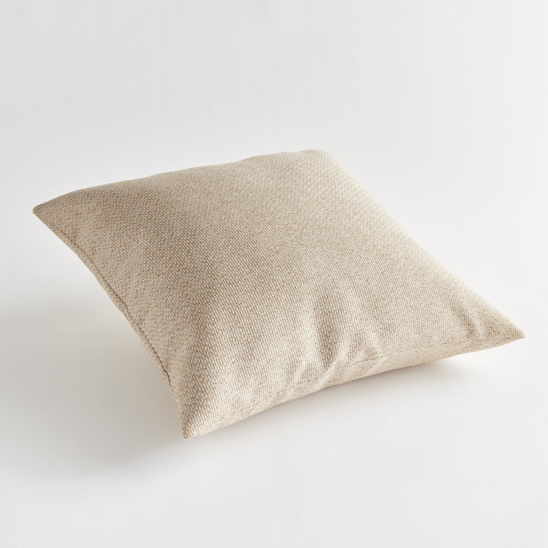Blake Polyester Indoor/Outdoor Pillow Cover & Insert, Square, 24"H x 24"W