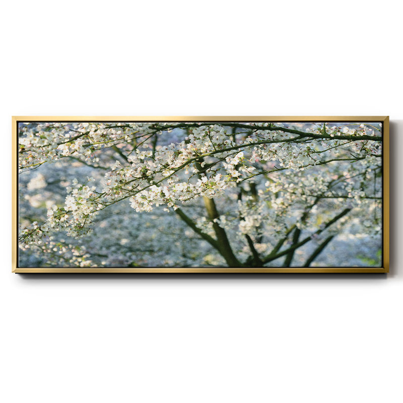 In All Your Glory- Framed Canvas