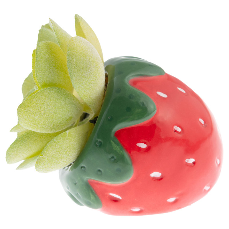 Shaped Succulent Pot Strawberry