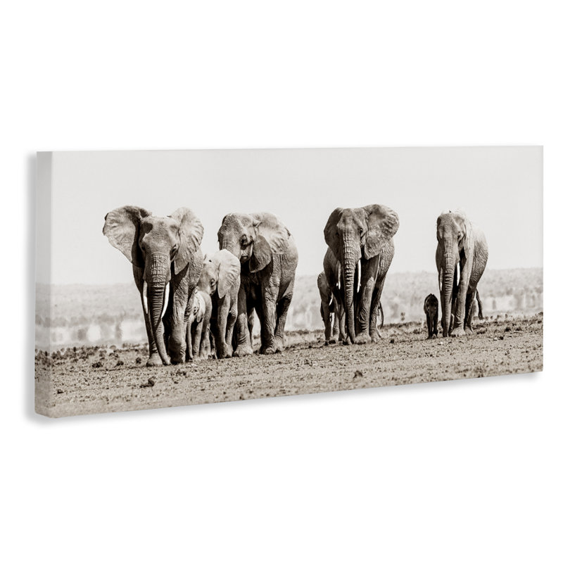 «Elephant Family on Savanna», art mural par Danita Delimont, H 20 po x l 48 po