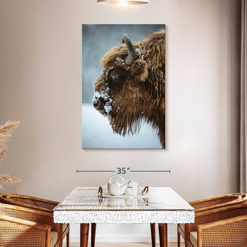 Bison enneigé Brampt, H 48 po x l 32 po