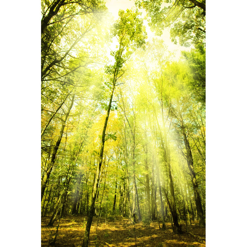 Heavenly Light by Nico_Blue - Wrapped Canvas Print, 46cm H x 30cm W