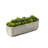 5'' Faux Succulent Plant in Stone Planter