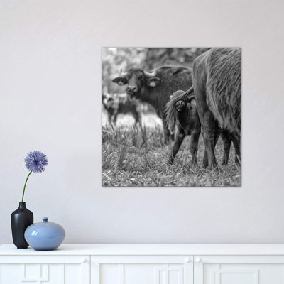 Hide And Seek by Gert Van Den Bosch - Wrapped Canvas Print