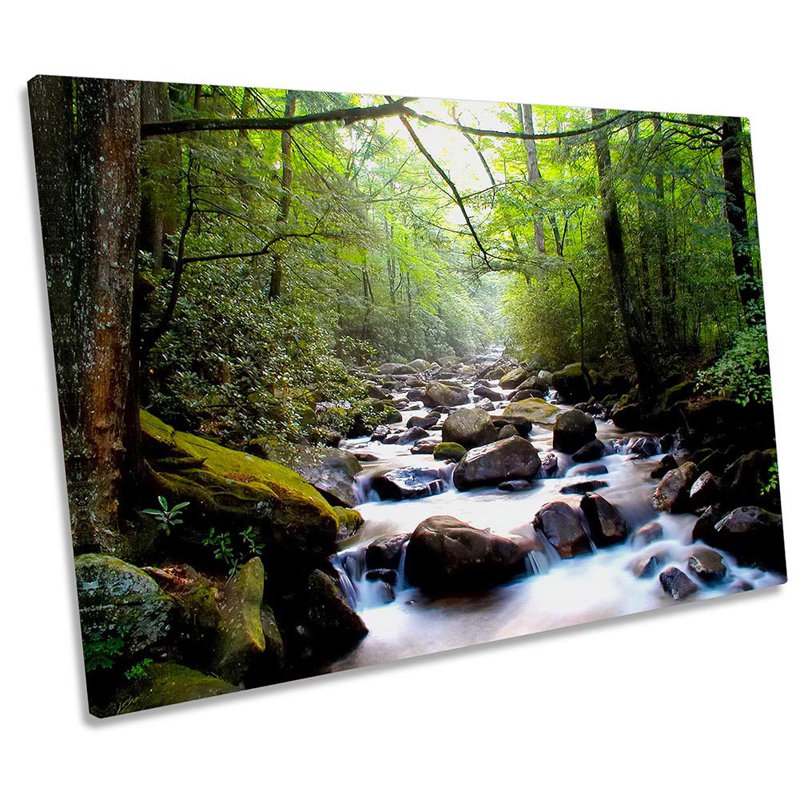 Forest Green River Landscape - Wrapped Canvas Print, 30.5cm H x 45.7cm W