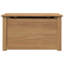 Salayah Accent Trunk