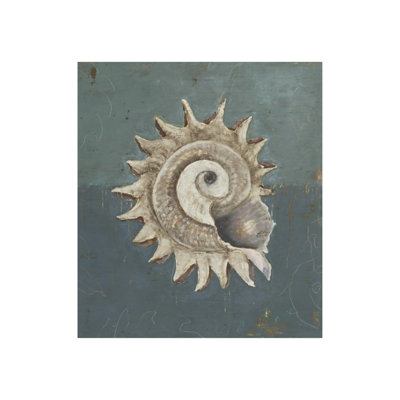 Seashell B Print by Sarah Atkinson
