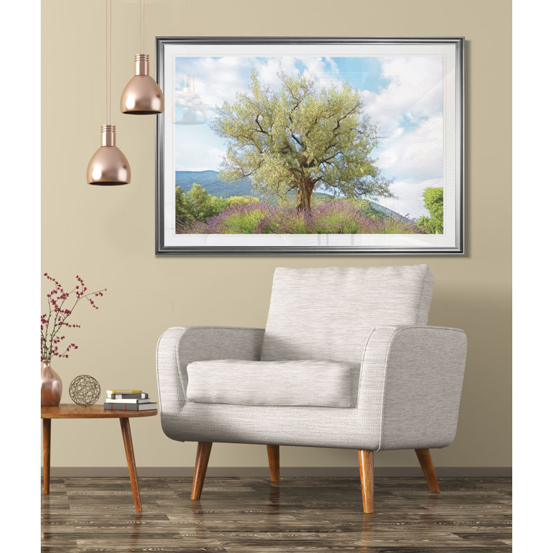 " Olive Tree And Lavender ", 20" H x 24" W x 1.5" D, Silver Frame