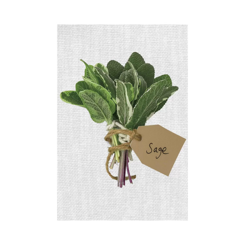 Sage by Assaf Frank - Wrapped Canvas Painting, 20.32 cm H x 30.48 cm W x 1.91 cm D