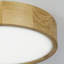 Demitria Flush Mount-1360171972-1360081393