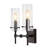 Chuperosa Bohemian Farmhouse Iron/Glass LED Vanity-67637906-119338787