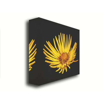 Like the Sun par Hal Halli. Toile giclée sur toile tendue avec cadre flottant