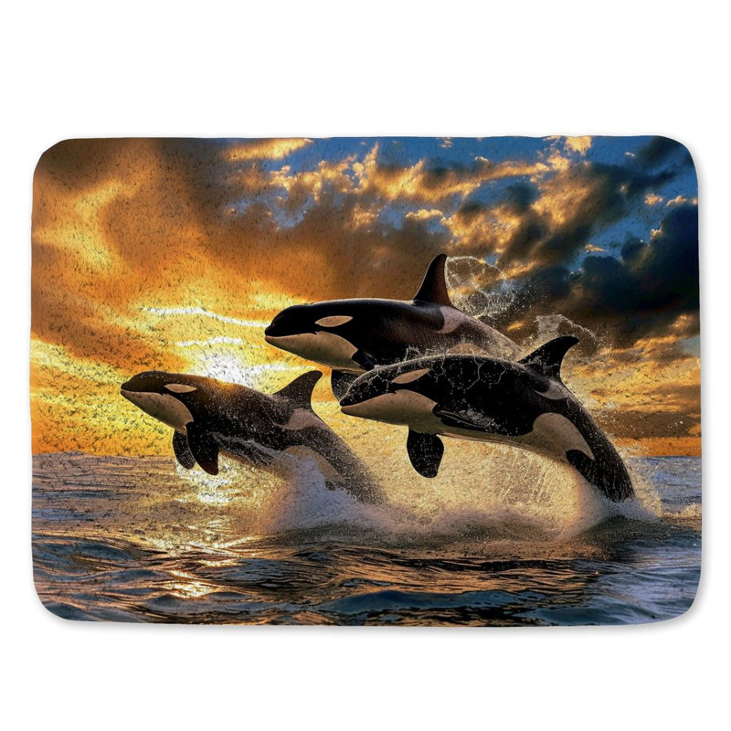 Tapis de bain Orcas Marine, L 17 po x L 24 po
