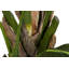 250cm Faux Banana Leaf Plant in Pot