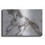 «Alydar Horse» par Irena Orlov-1777975046