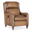 Carrington Power Recliner w/Power Headrest-480967407