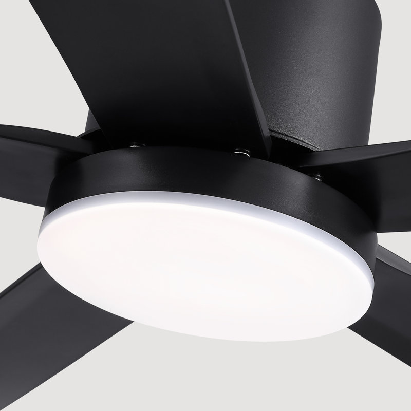 54" Wet Rated Plug-in 5-Blade IP65Outdoor  Waterproof Ceiling Fan with Dimmable LED Lights and Remote Control 