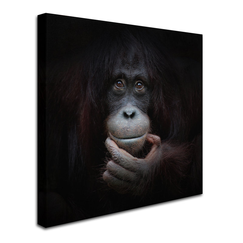 « the mirror image », reproduction de photo sur toile tendue, H 24 po x l 24 po