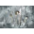 MEPRA Due Stainless Steel Flatware Set