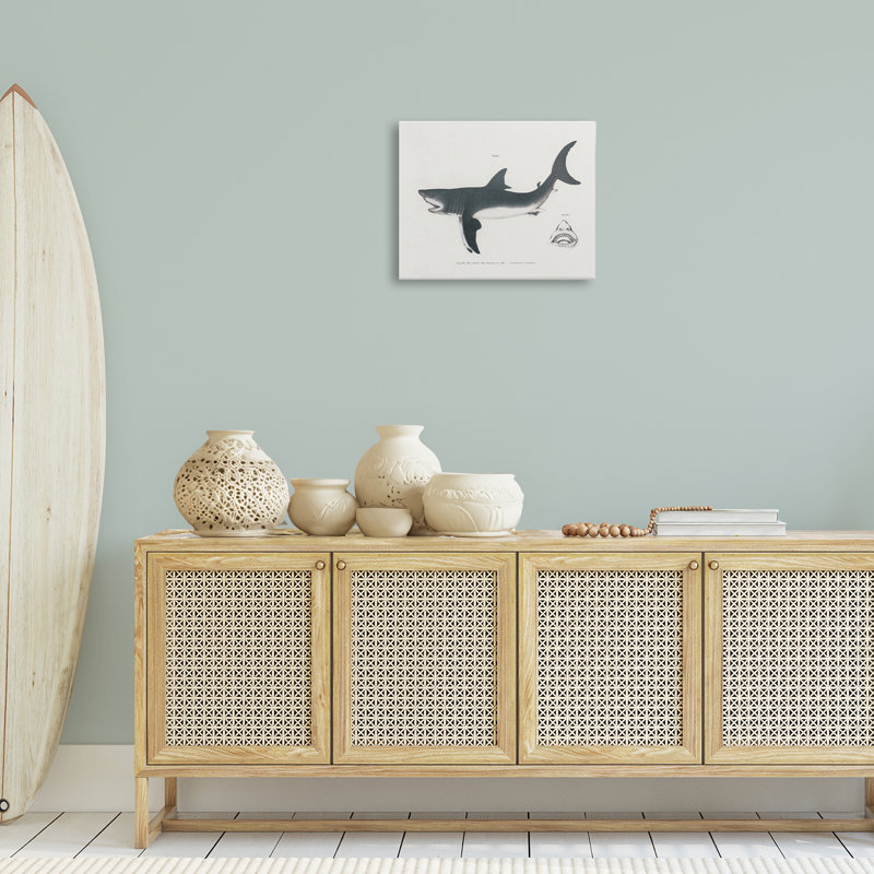 Schéma détaillé du requin, toile par Phillipa Katz, H 16 po x l 20 po