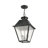 Fraida Bulb Outdoor Hanging Lantern-22670234