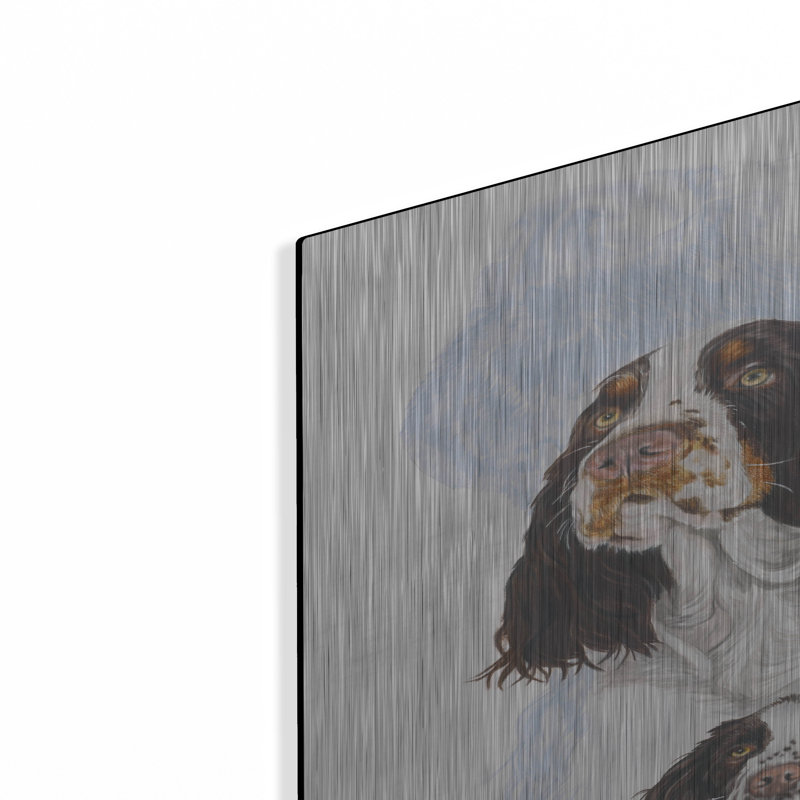 " Springer Spaniel " by Barbara Keith, 36" H x 24" W