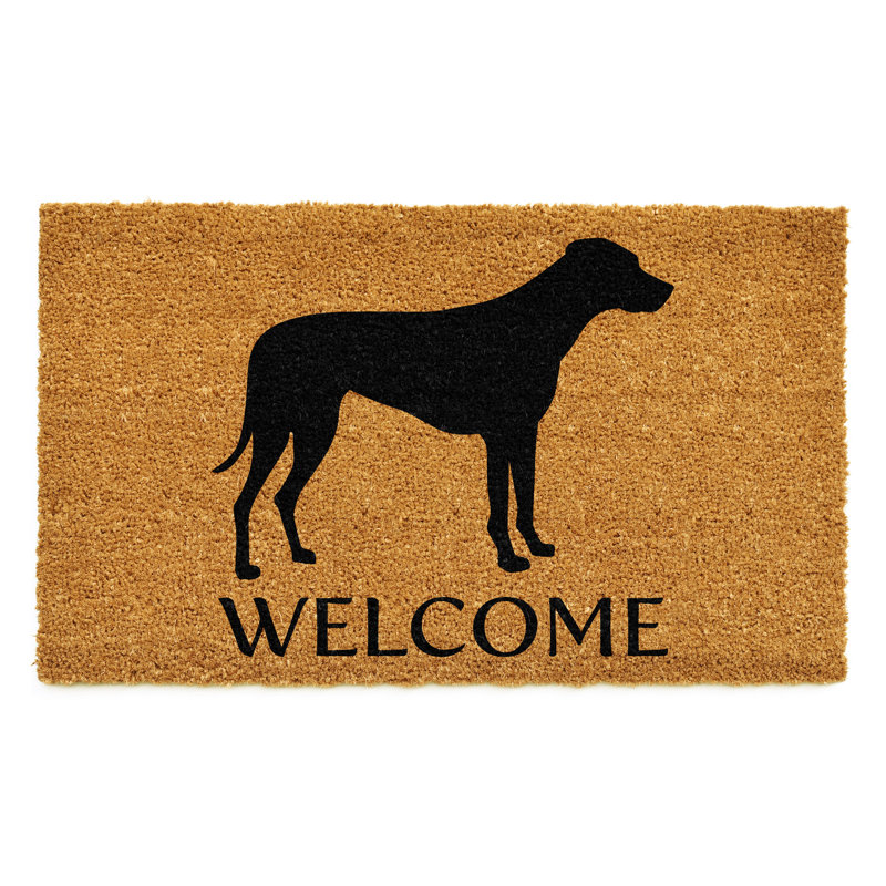 Non-Slip Indoor Doormat, 17" W x 29" L
