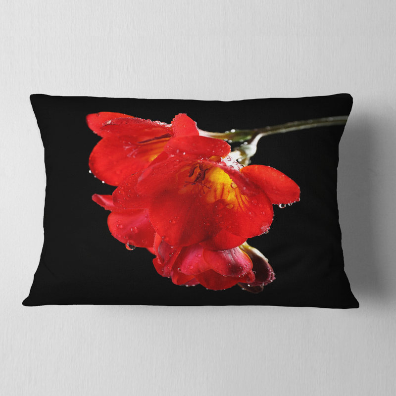 Freesia Flower on Black Background - Floral Printed Throw Pillow