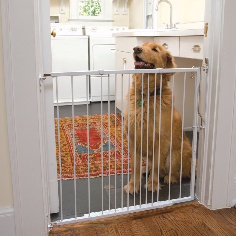 Cardinal Gates Safety Gate & Reviews | Wayfair