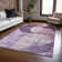 Machine Washable Indoor/Outdoor Cicel ACN1140 Purple Rug