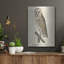 «Barn Owl 1560-1585» par Inconnu, art mural en métal-2057431151