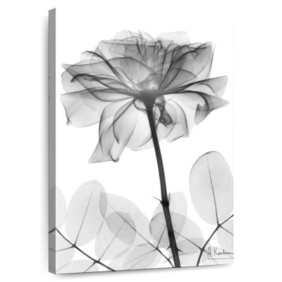 Harnek Rose Dynasty BW II
