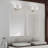 Steelville 2 - Light Dimmable Vanity Light-238427283